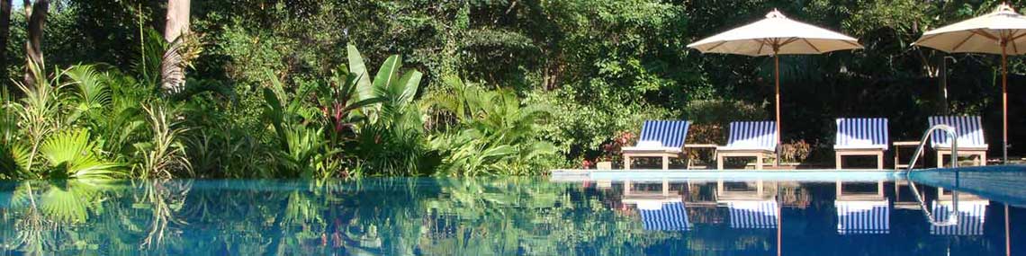 Villa Goa Swimming Pool