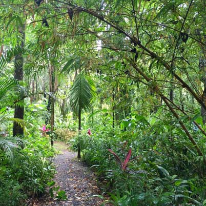 villa goa garden path